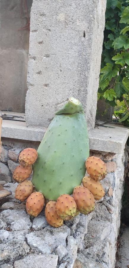 B&B Ancora Del Sud Otranto Eksteriør billede